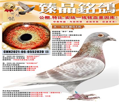 ��һ�����վ��84���������ۡ����ӡ�����