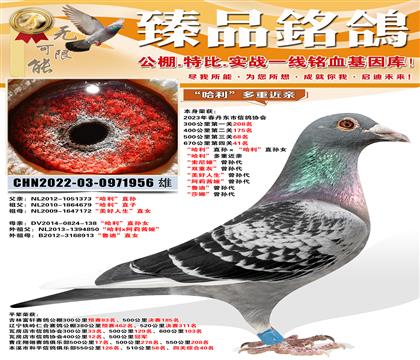 670����41����������ֱ�����������ֱ��Ů  ������������