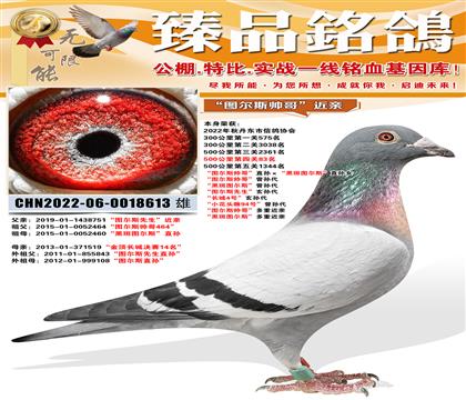 500����83����ͼ��˹˧�硱ֱ������ڰ�ͼ��˹��ֱ��Ů