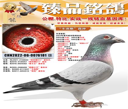 500����58������ʱ��911���������������С�ӡ�ֱ��Ů