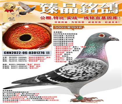 500����193��������ƥ��쫷�381��ֱ��Ů ������ƥ���