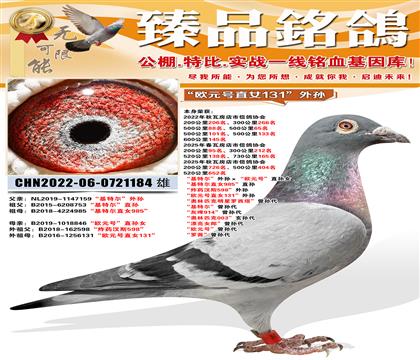 730����165�������ض����������ŷԪ�š�ֱ��Ů