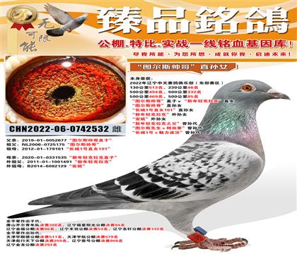 500����85�� ��ͼ��˹˧��ֱ�ӡ���������������ˡ�ֱŮ