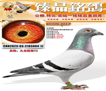 ����������������ֲ�500����24����520����81��