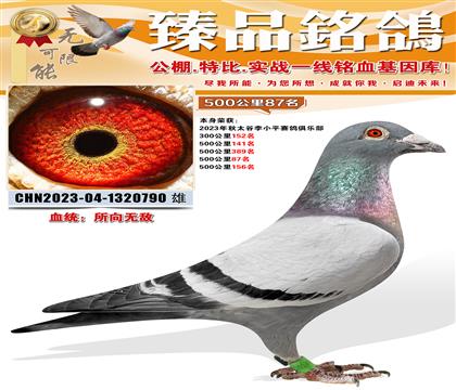 ɽ��̫����Сƽ������ֲ�500����87����500����156��