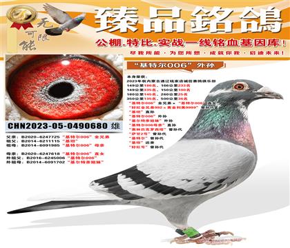 500����36�� �����ض�006��ȫ�ֵܡ������ض�006��ֱ