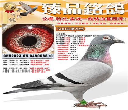 500����22�� ��ͼ��˹˧�硱ֱ������ڰ�ͼ��˹��ֱ��Ů