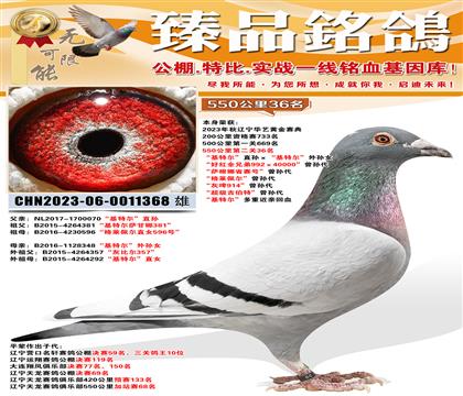 ��������550����36�������ض���ֱ��������ض�������Ů ��