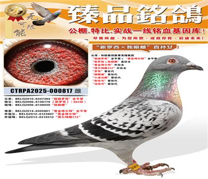 ̨�塤�����������¾��輯�� ������������ȫƽ�������ƽ𲩶���