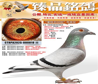 ̨�塤�����������¾��輯�š���̹��ֱ��Ů ������ƥ�˻��ض�0