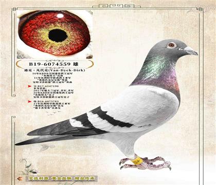 1���Ͽˡ������ˡ�����ƥ�����˹-����