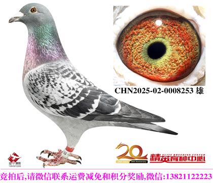 ��ѻ��ض���ߴ���������