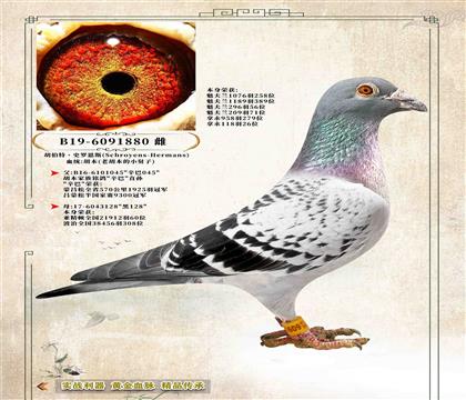 3��������.ʷ�޶�˹��6�����ͺ�������