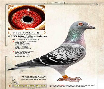 4����³���ֵܡ����¡�003��x����Ů