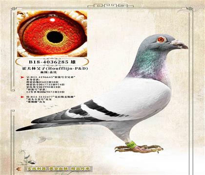 5�������ָ��ӡ��Ǳ�