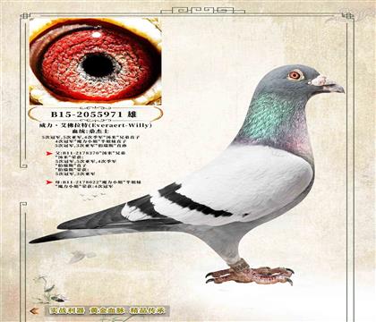 6�������������ء�ɣ��ʿ�ھ�����