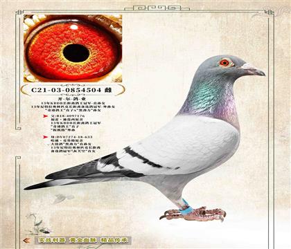 7��������ҵ���漣����ֱ��x�ھ�����Ů