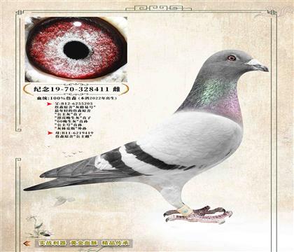 8��ղɭԭ�ᡷֱŮ 411