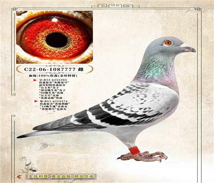 9��ղɭԭ�ᡷ��7777