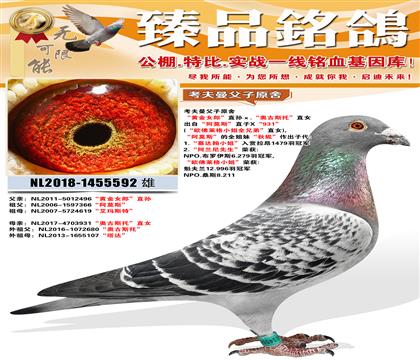 ����������ԭ�� ���ƽ�Ů�ɡ�ֱ���.���¹�˹�С�ֱŮ ���ԡ�