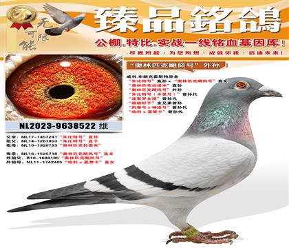 ����.���ʿ˻�˹��ԭ�� ������غš�ֱ���������ƥ��쫷�š�