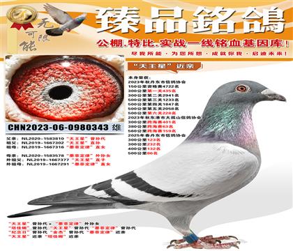 500����86�� �������ǡ����������ī�ƶ��ɡ�����Ů ����