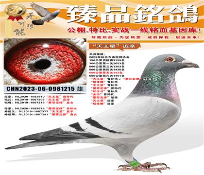 500����143���������ǡ����������ī�ƶ��ɡ�����Ů ����