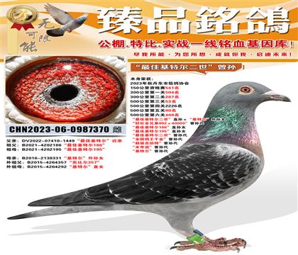 500����53������ѻ��ض�������ֱ��������ض�������Ů ��