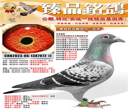 600����32��������ƥ��쫷�š�ֱ���������ƥ��쫷�š���