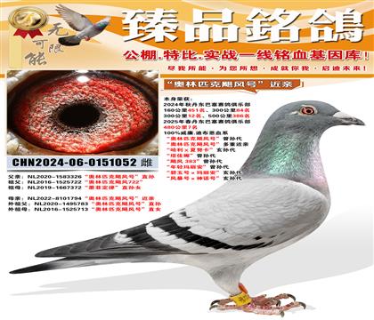 480����7��������ƥ��쫷�š�ֱ���������ƥ��쫷�š�����