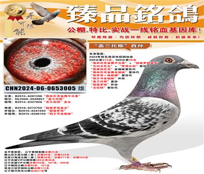 500����39��������ƥ��ȸӥ���ֵܡ�������������ֱŮ�� ��