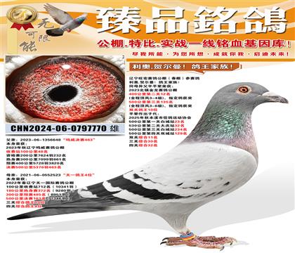 �����������빫���������� ����.�ض������������壡 ͬ