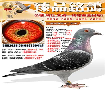 �����ۺϼ��� ����ѻ��ض������ס�����ѻ��ض������� �����