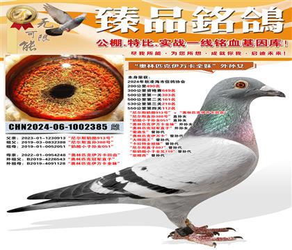 550����112�������˹����913�š���������ƥ�����򿨻�