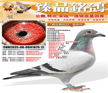 500����92����ղ��˹801����������½�ķ��Ѫ237�š�