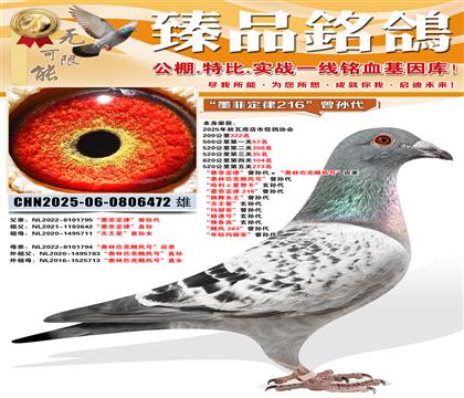 520����35����ī�ƶ��ɡ��������������ƥ��쫷�š�����