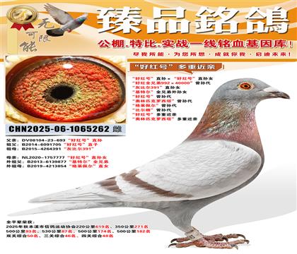 ȫƽ���ٻ��Ĺ��ۺ�48�����ú�š�ֱ������ú�š�ֱ��Ů