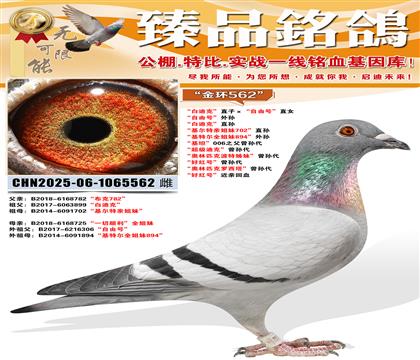 ���׵Ͽˡ�ֱ�ӡ������ɺš�ֱŮ �����ɺš����� ���׵Ͽˡ�ֱ