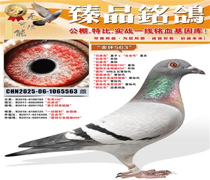 ���׵Ͽˡ�ֱ�ӡ������ɺš�ֱŮ �����ɺš����� ���׵Ͽˡ�ֱ