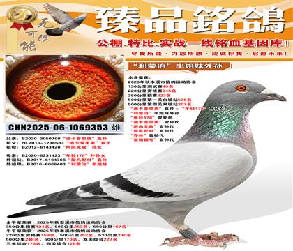 500����207�����Ͽ�����¡�ֱ���������178������Ů