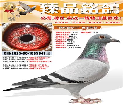 ������鵽�ķ120��ֱ�ӡ�����ʱ��911����Ѫ ����鵽�ķ֮