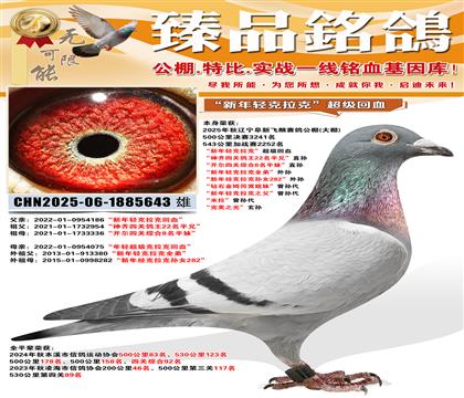 ���·��빫��(����)�鳲������������ˡ�������������������