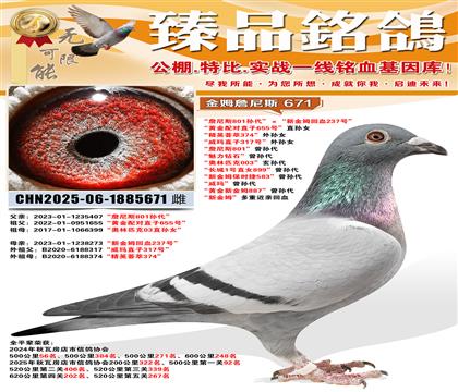 ��ղ��˹801����������½�ķ��Ѫ237�š� ���ƽ����ֱ��