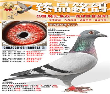 �������蹫��鳲��ղ��˹801����������½�ķ��Ѫ237�š�