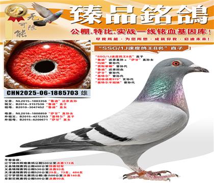 ��SSG/1J�ٶȸ���8����ֱ�� ��³�ϡ�����ֱ��������ʡ�