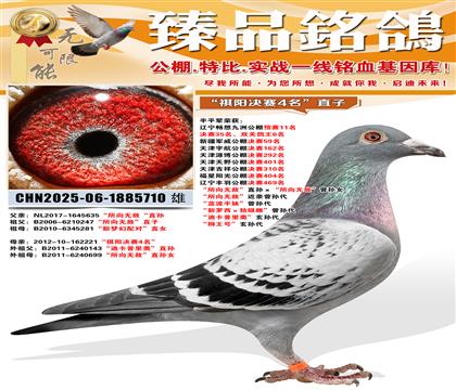 �������޵С�ֱ����������޵С�����Ů �������޵С����������