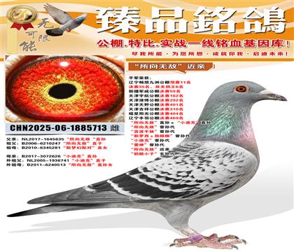 �������޵С�ֱ�����С�Ͽˡ�ֱ�� �������޵С������ ������