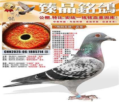 �������޵С�ֱ�����С�Ͽˡ�ֱ�� �������޵С������ ������