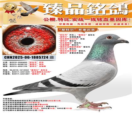 ���ú�š�����������ض���ֱ��Ů �����ض���ȫ���ֱ�� ����