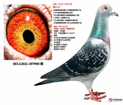 ������ƥ�˺�˹��ȫ�ֵܡ�|����ڡ�ȫ���á�